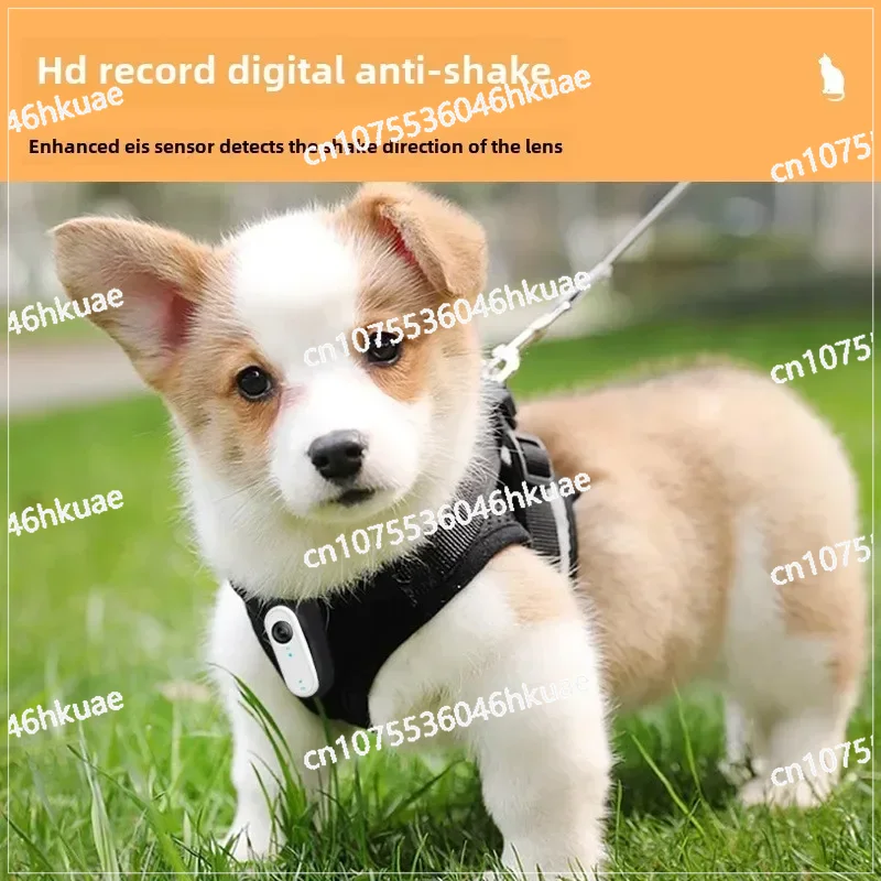 犬猫用防水ミニボディカメラ、アウトドアアドベンチャー用ペット - Outdoor Adventure Video のレビューと価格